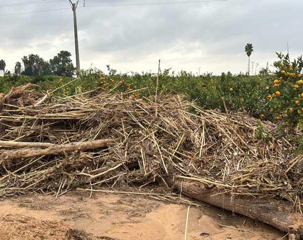 Barrachina: El prohibicionisme de la CHJ impedix als ajuntaments netejar els seus llits i barrancs per a minimitzar el risc d'inundacions