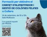 Cullera crea un carnet dalimentadors de colnies felines per augmentar el seu control i benestar