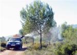 La Generalitat intensifica els treballs per al control de plagues en les muntanyes de la Comunitat Valenciana